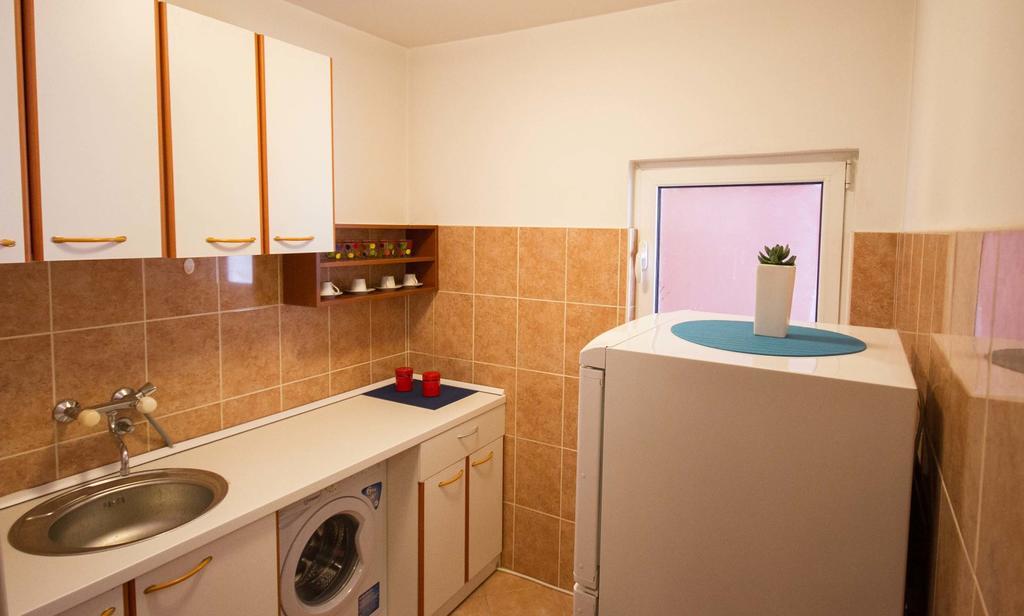 Apartment Irena Downtown